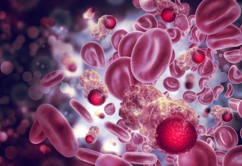 Лечение тяжелых инфекционных осложнений, вызванных  Klebsiella pneumoniae с множественной лекарственной  устойчивостью, у детей со злокачественными новообразованиями кроветворной системы.